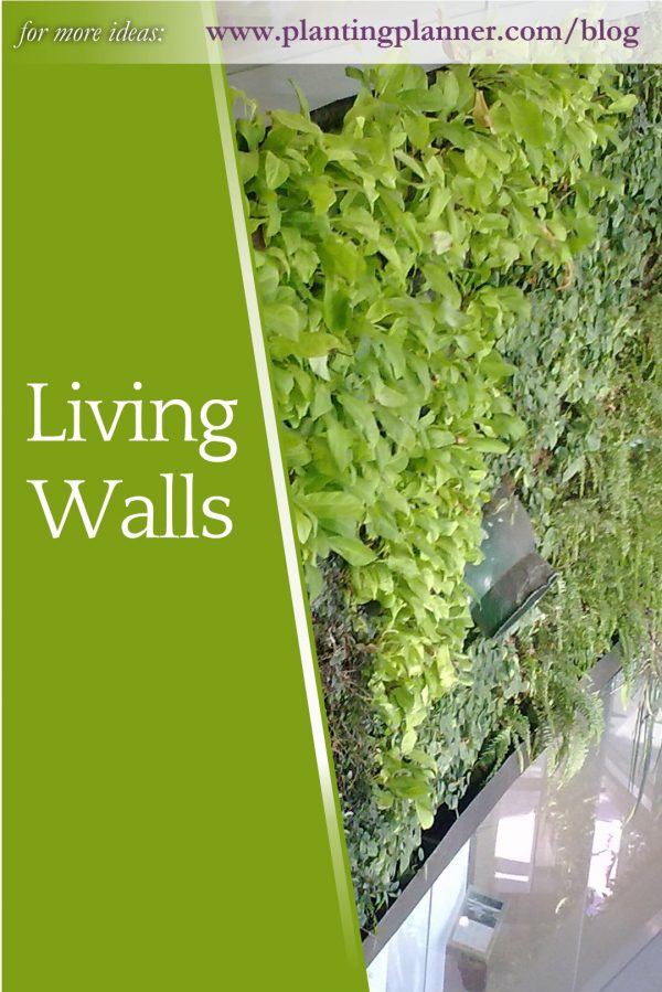 Living Walls – Gardening Ideas from the Weatherstaff PlantingPlanner Blog