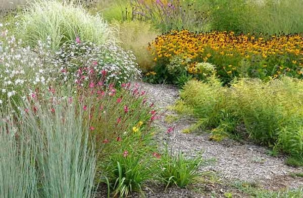 Prairie Planting at Lascaux – Gardening Ideas from the Weatherstaff ...